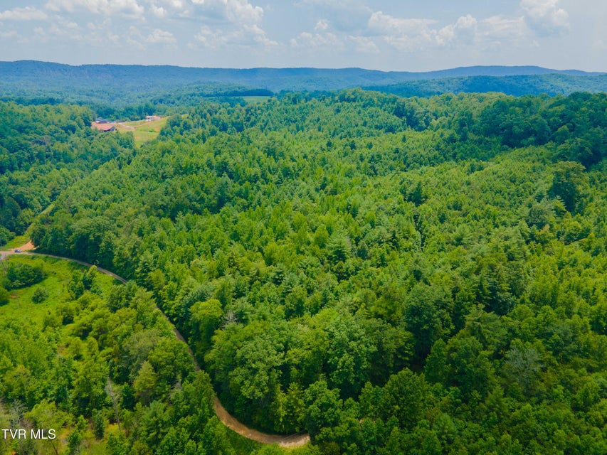 Photo #15: 213 Cedar Ridge
