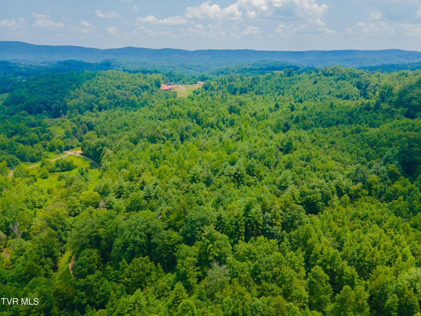 Photo #16: 213 Cedar Ridge