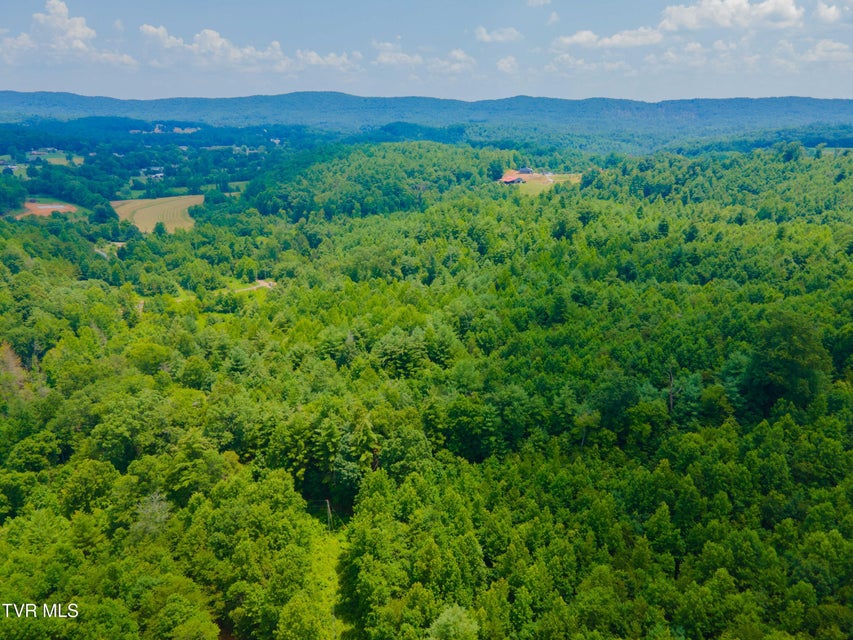 Photo #17: 213 Cedar Ridge