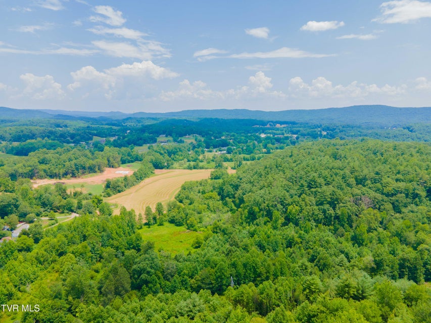 Photo #19: 213 Cedar Ridge