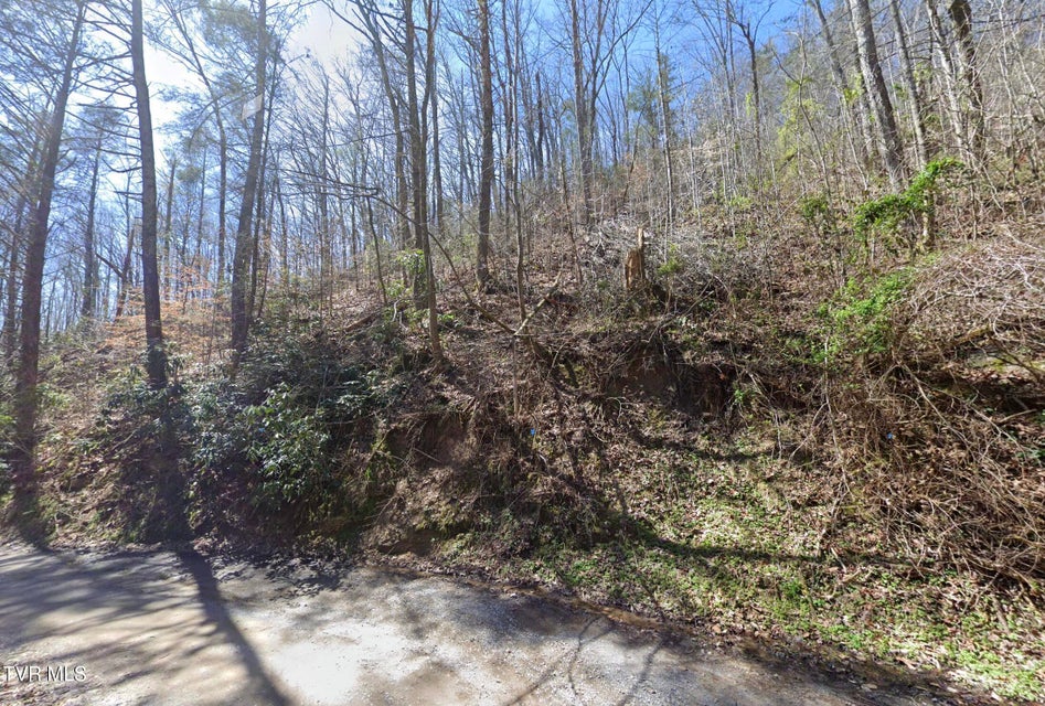 Photo #2: 910 Ditney Way
