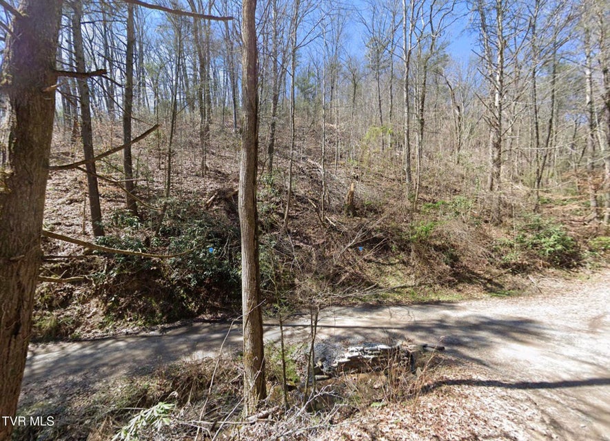 Photo #3: 910 Ditney Way
