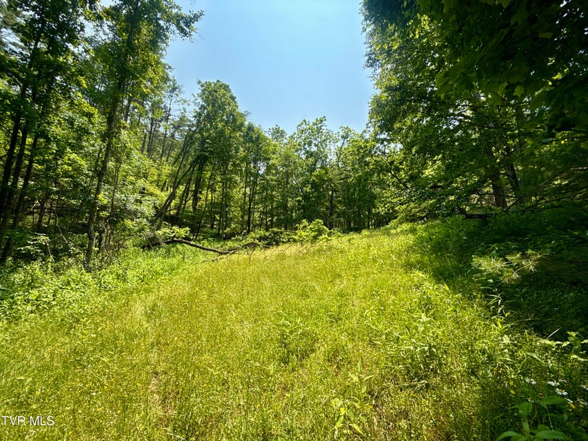 Photo #2: 99/Ac Tbd Nw Of Copperhead Hollow Road