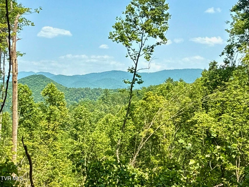 Photo #5: 99/Ac Tbd Nw Of Copperhead Hollow Road