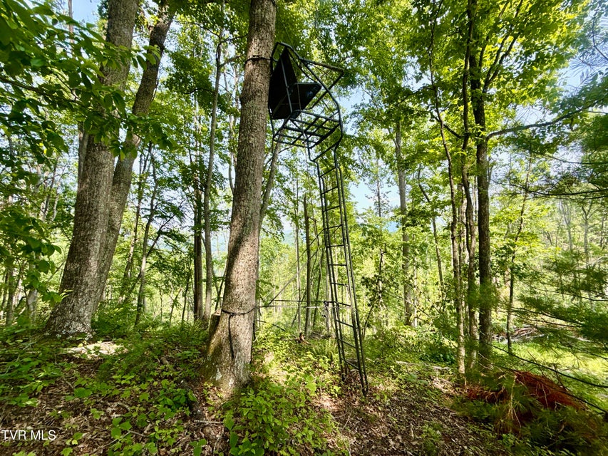 Photo #6: 99/Ac Tbd Nw Of Copperhead Hollow Road
