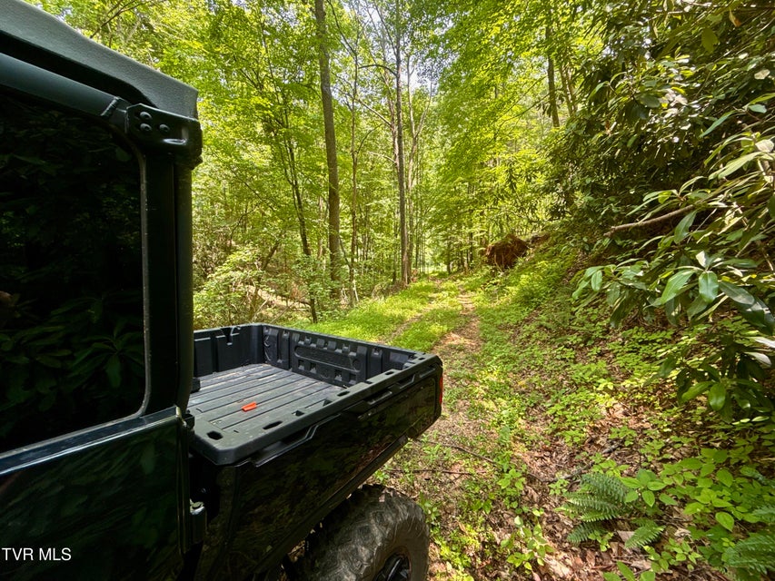 Photo #8: 99/Ac Tbd Nw Of Copperhead Hollow Road