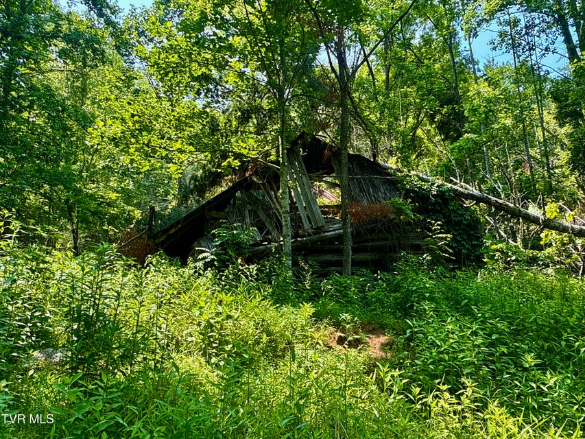 Photo #11: 99/Ac Tbd Nw Of Copperhead Hollow Road