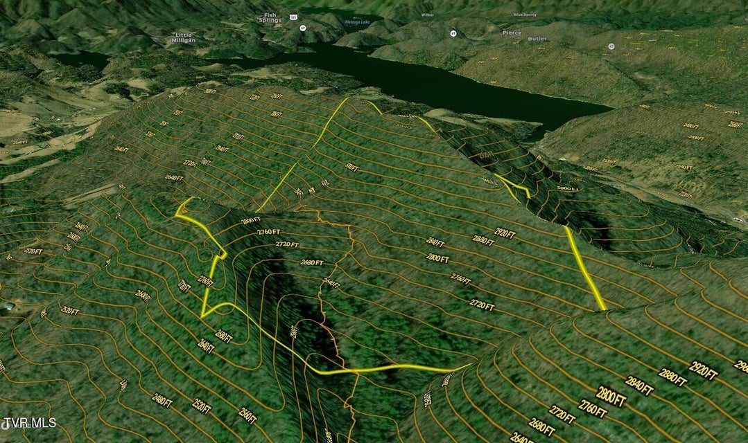 Photo #17: 99/Ac Tbd Nw Of Copperhead Hollow Road