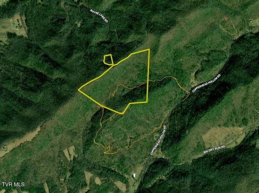 Photo #21: 99/Ac Tbd Nw Of Copperhead Hollow Road