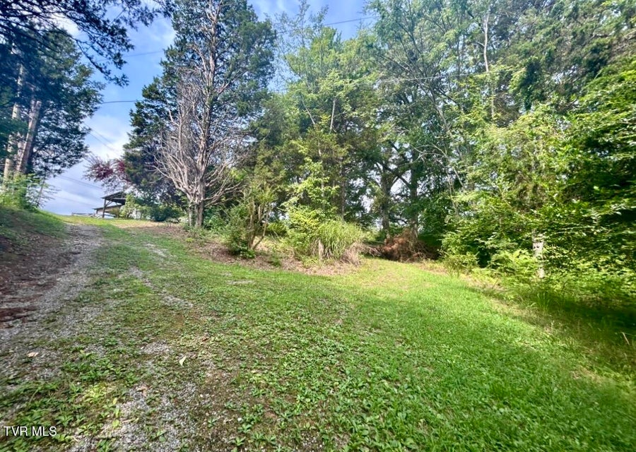 Photo #12: 1245 County Line Road