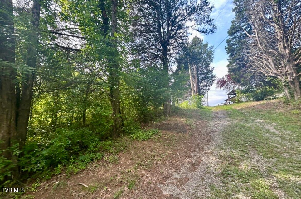 Photo #13: 1245 County Line Road