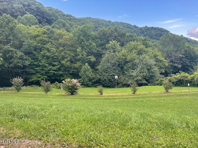 Photo #2: 2169 Rice Creek Road