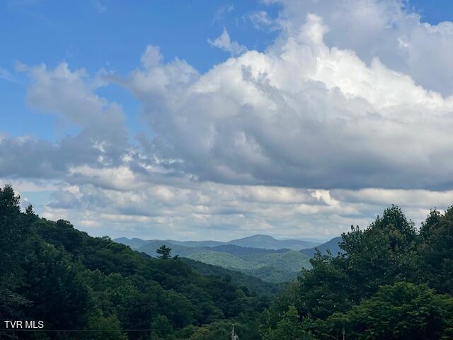 Photo #4: 2169 Rice Creek Road