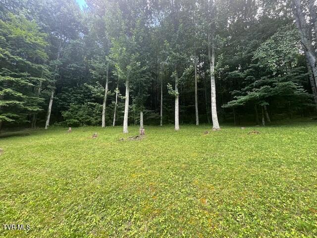 Photo #9: 2169 Rice Creek Road