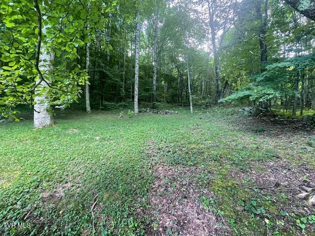 Photo #10: 2169 Rice Creek Road