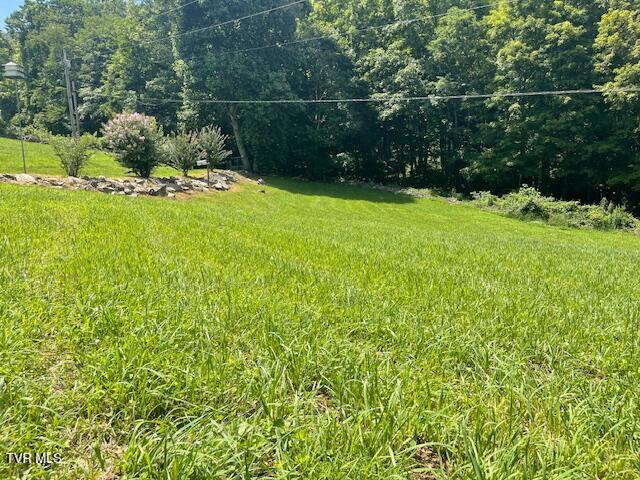 Photo #49: 2169 Rice Creek Road