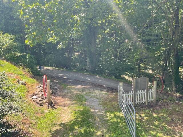 Photo #60: 2169 Rice Creek Road