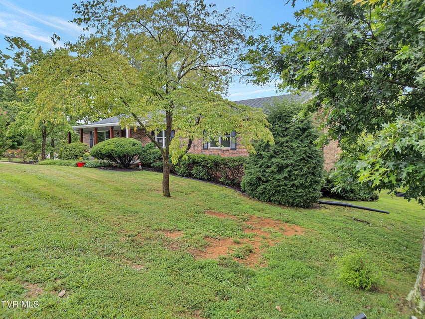Photo #9: 902 Ringdove Lane