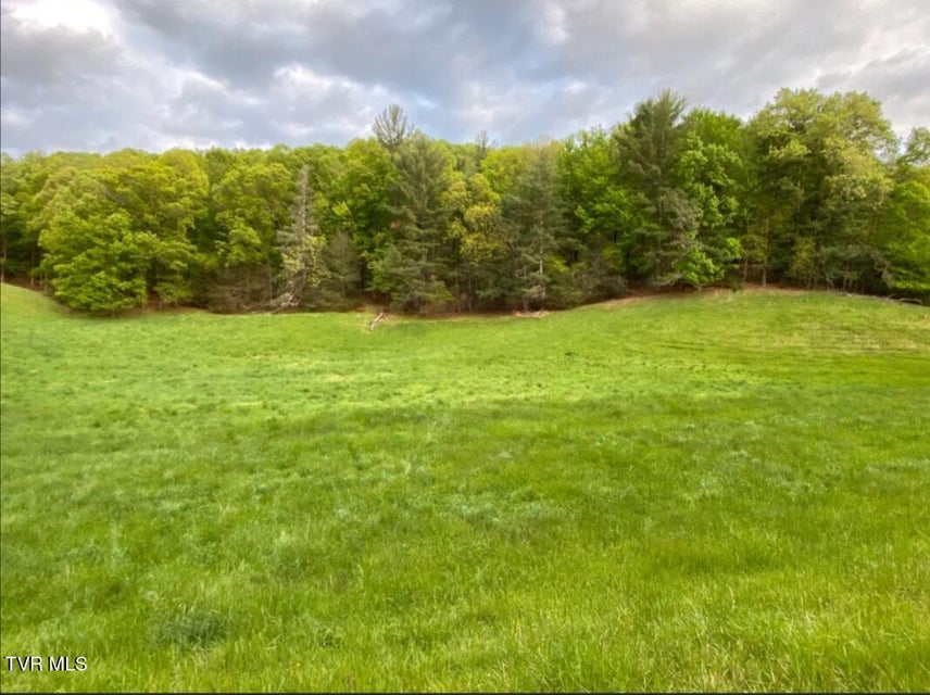 Photo #10: 203 Whispering Pines Road