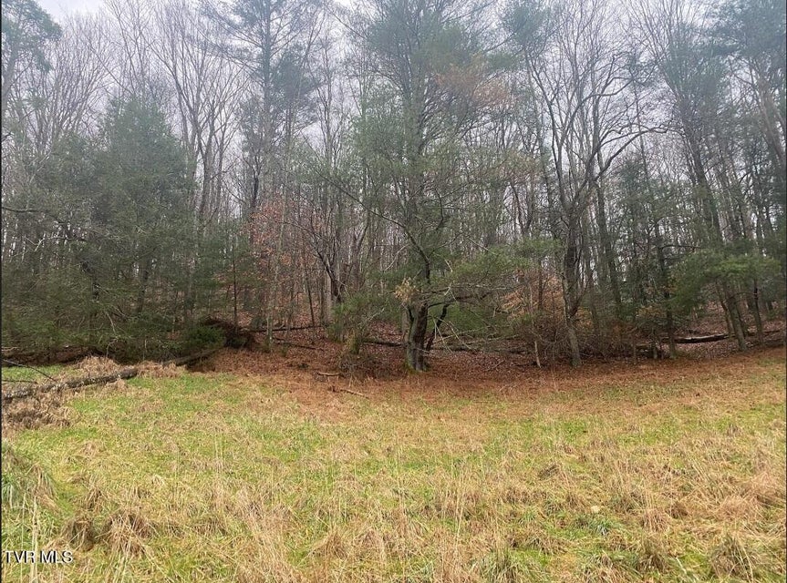 Photo #13: 203 Whispering Pines Road