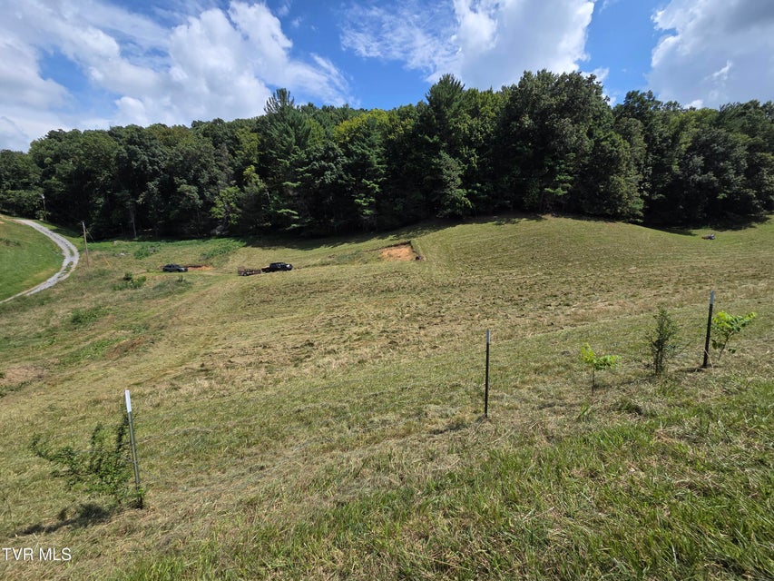 Photo #16: 203 Whispering Pines Road