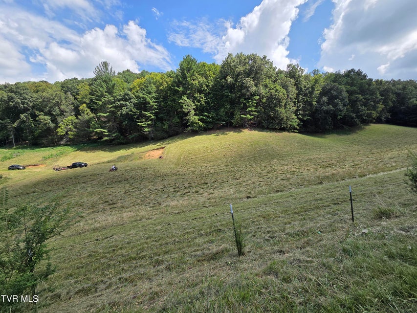 Photo #17: 203 Whispering Pines Road