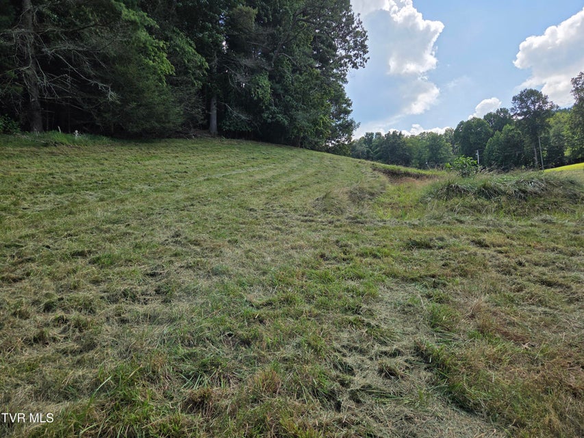 Photo #20: 203 Whispering Pines Road