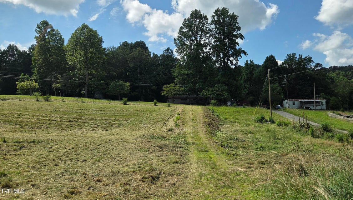 Photo #22: 203 Whispering Pines Road