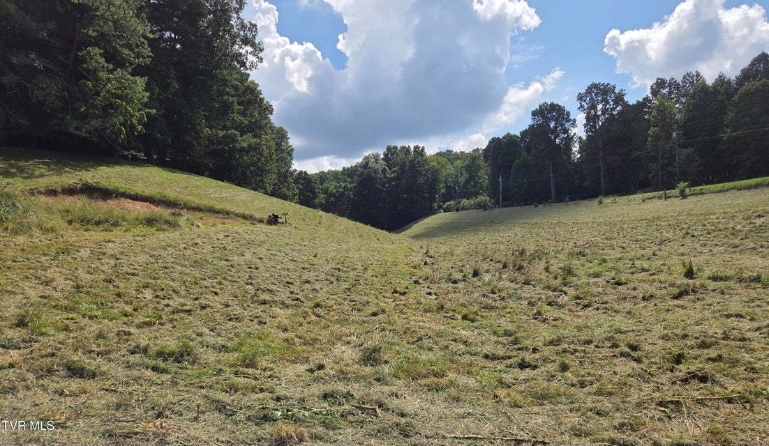 Photo #23: 203 Whispering Pines Road