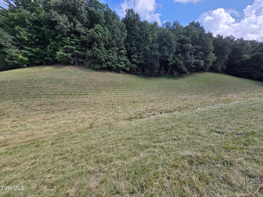 Photo #25: 203 Whispering Pines Road