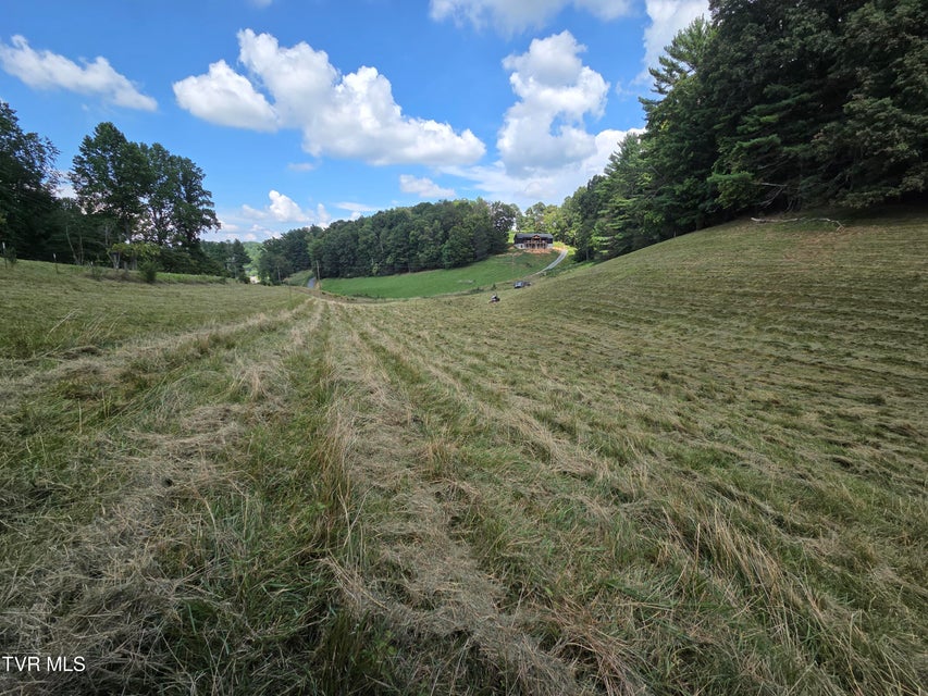 Photo #26: 203 Whispering Pines Road