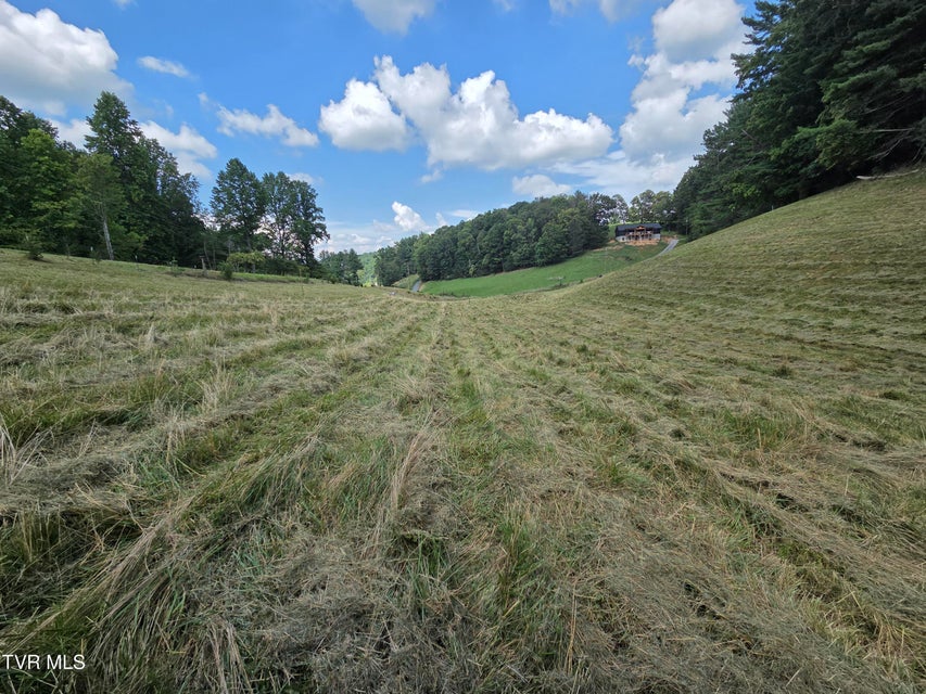 Photo #27: 203 Whispering Pines Road