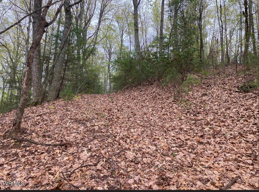 Photo #32: 203 Whispering Pines Road