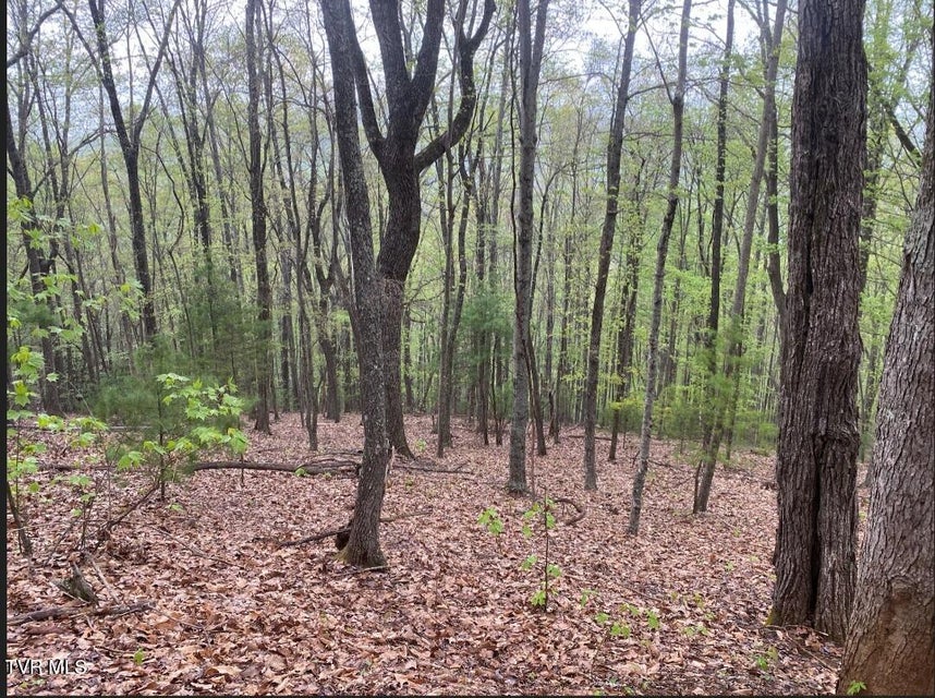 Photo #33: 203 Whispering Pines Road