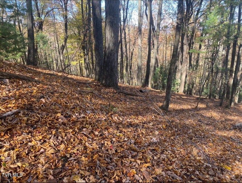 Photo #34: 203 Whispering Pines Road