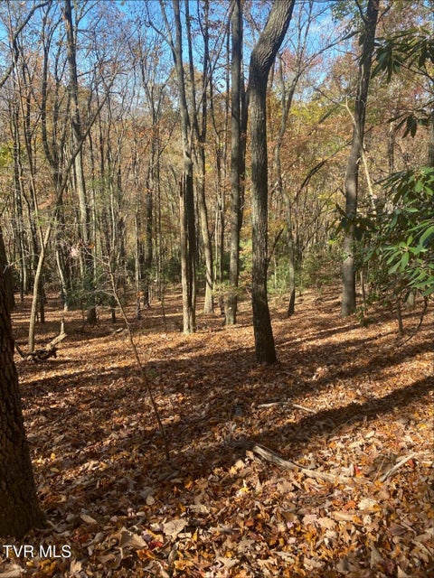 Photo #35: 203 Whispering Pines Road