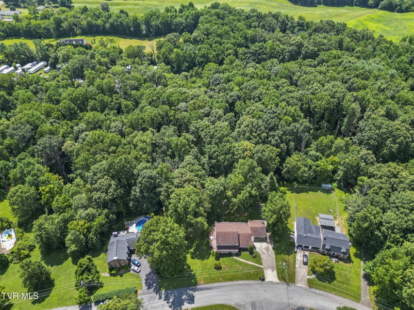 Photo #33: 1700 Brentwood Drive