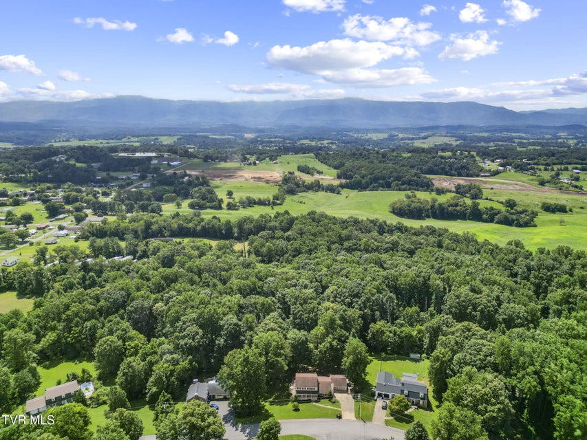 Photo #34: 1700 Brentwood Drive