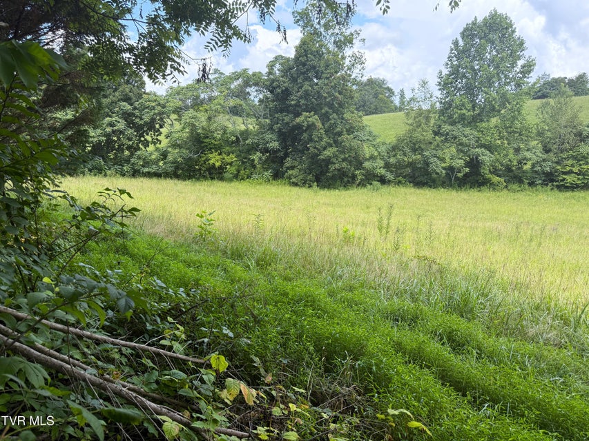 Photo #2: 1461 Ponderosa Road