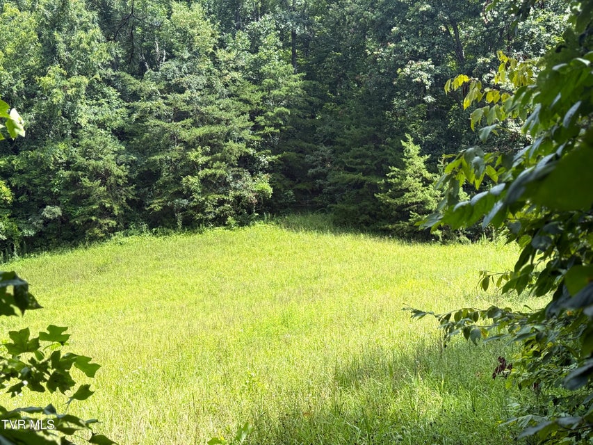 Photo #3: 1461 Ponderosa Road