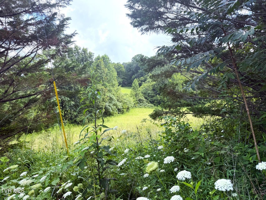 Photo #4: 1461 Ponderosa Road