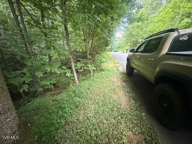 Photo #10: 157 Pfeiffer Ridge Road