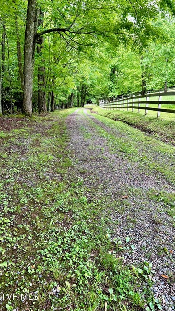 Photo #31: 736 Ragan Road