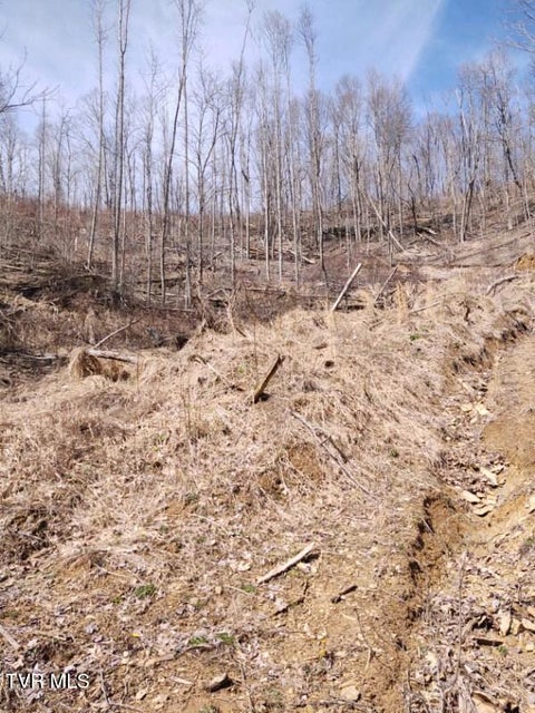 Photo #4: Tbd Miller Road