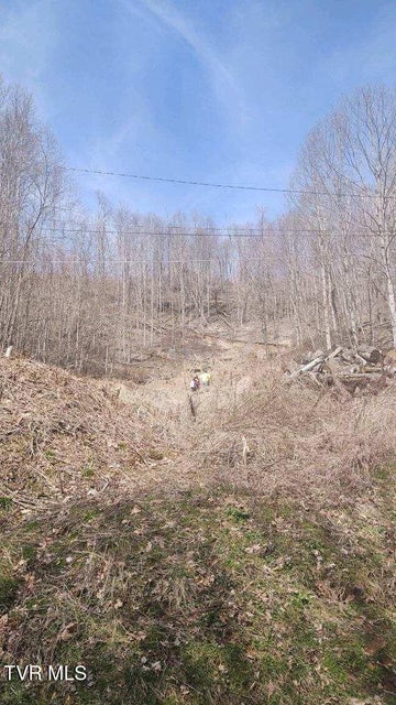 Photo #5: Tbd Miller Road