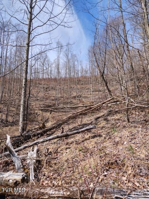 Photo #2: Tbd Miller Road