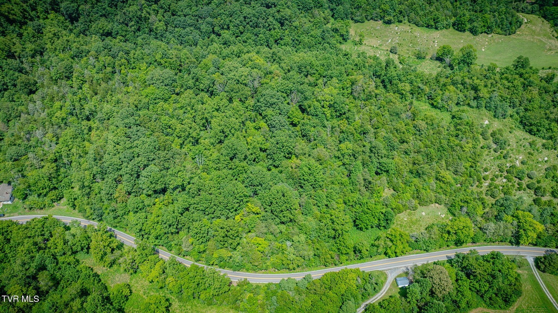 Photo #2: Tbd Bristol Highway