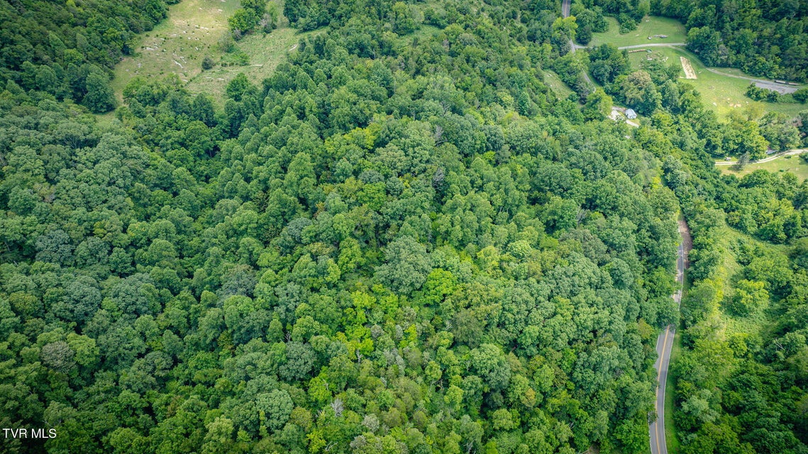 Photo #5: Tbd Bristol Highway