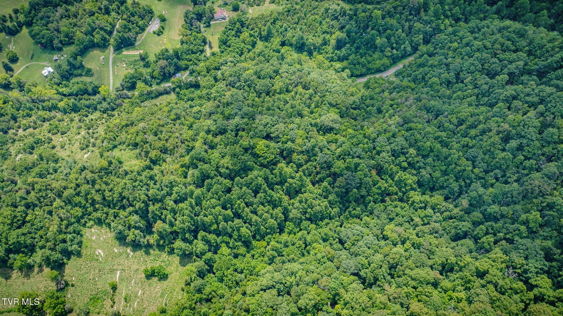 Photo #6: Tbd Bristol Highway