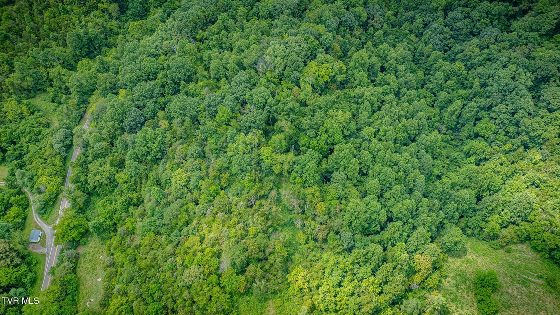 Photo #7: Tbd Bristol Highway